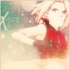 th_shippuudensakura